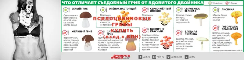 что такое   Углегорск  Псилоцибиновые грибы мицелий 